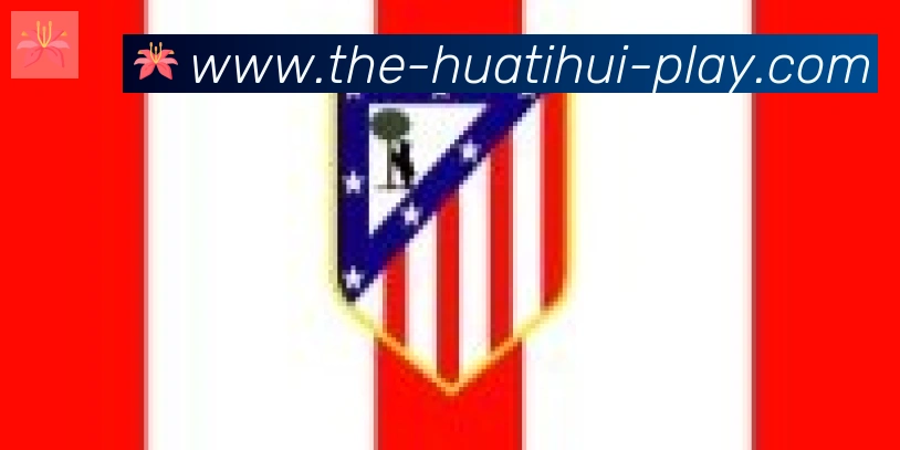 华体会官方平台合作伙伴